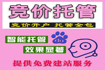专业SEM托管服务案例，助力企业精准营销